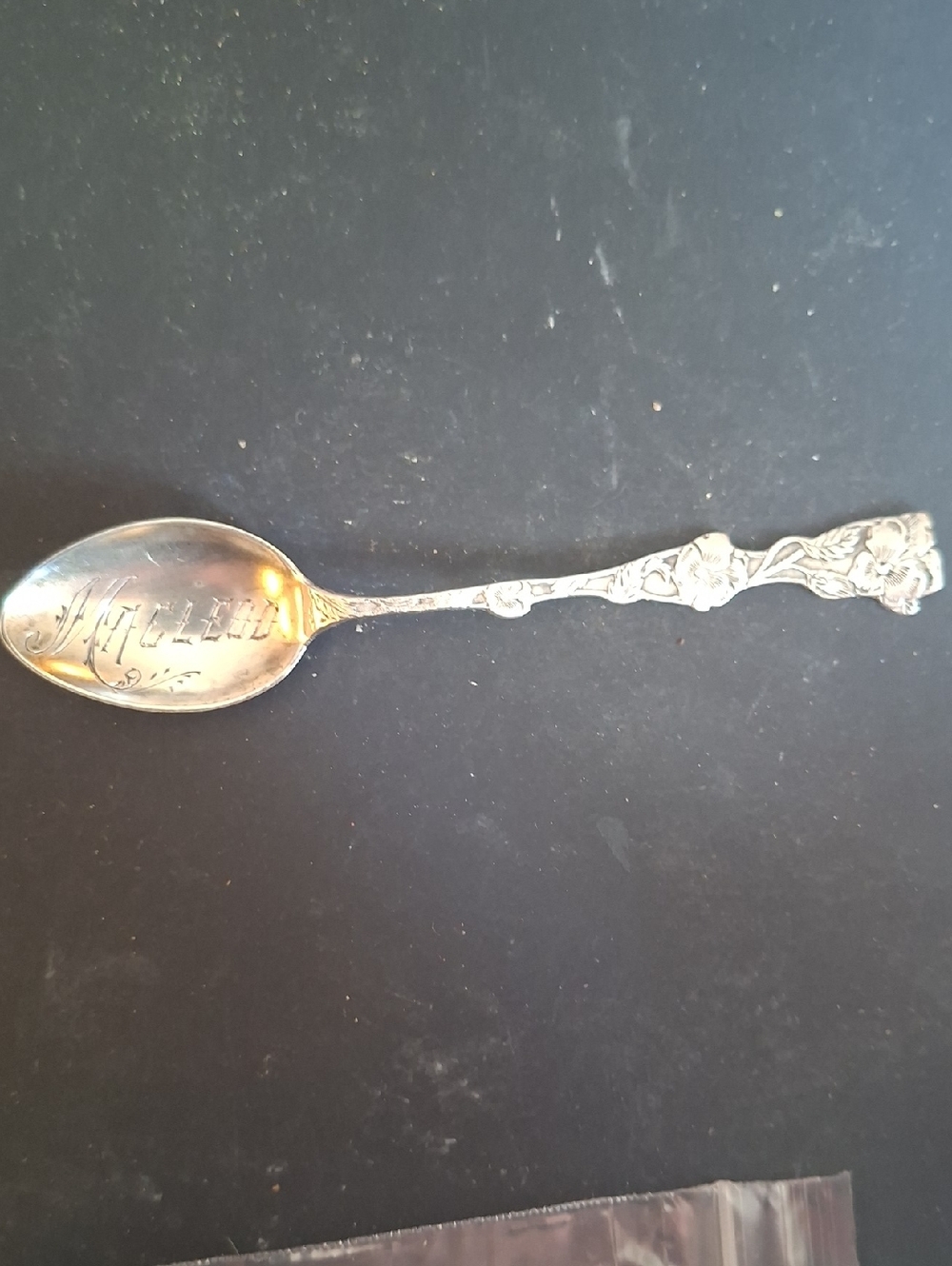 Ornate Engraved F. Whiting Sterling Collectible Spoon, "Macleod"